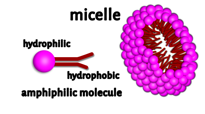 Micelle (black font)